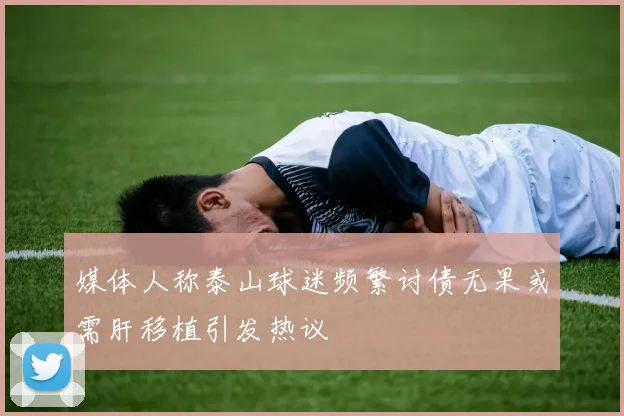 媒体人称泰山球迷频繁讨债无果或需肝移植引发热议